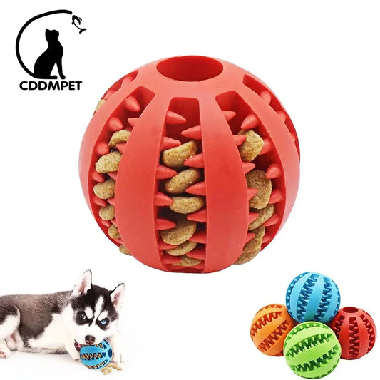 Pelota de Juguete de goma para Perros