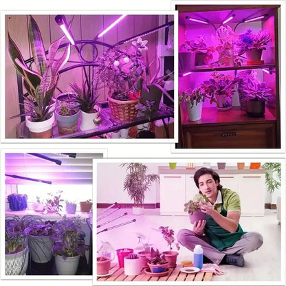 Luz LED  para cultivo de Plantas para Interior e Invernadero