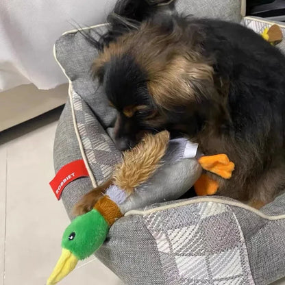 Juguete de Peluche con forma de Pato para Perros