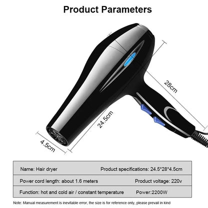 Secador de Pelo Profesional de 2200 W