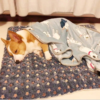 Colchoneta de Franela para dormir para Mascotas