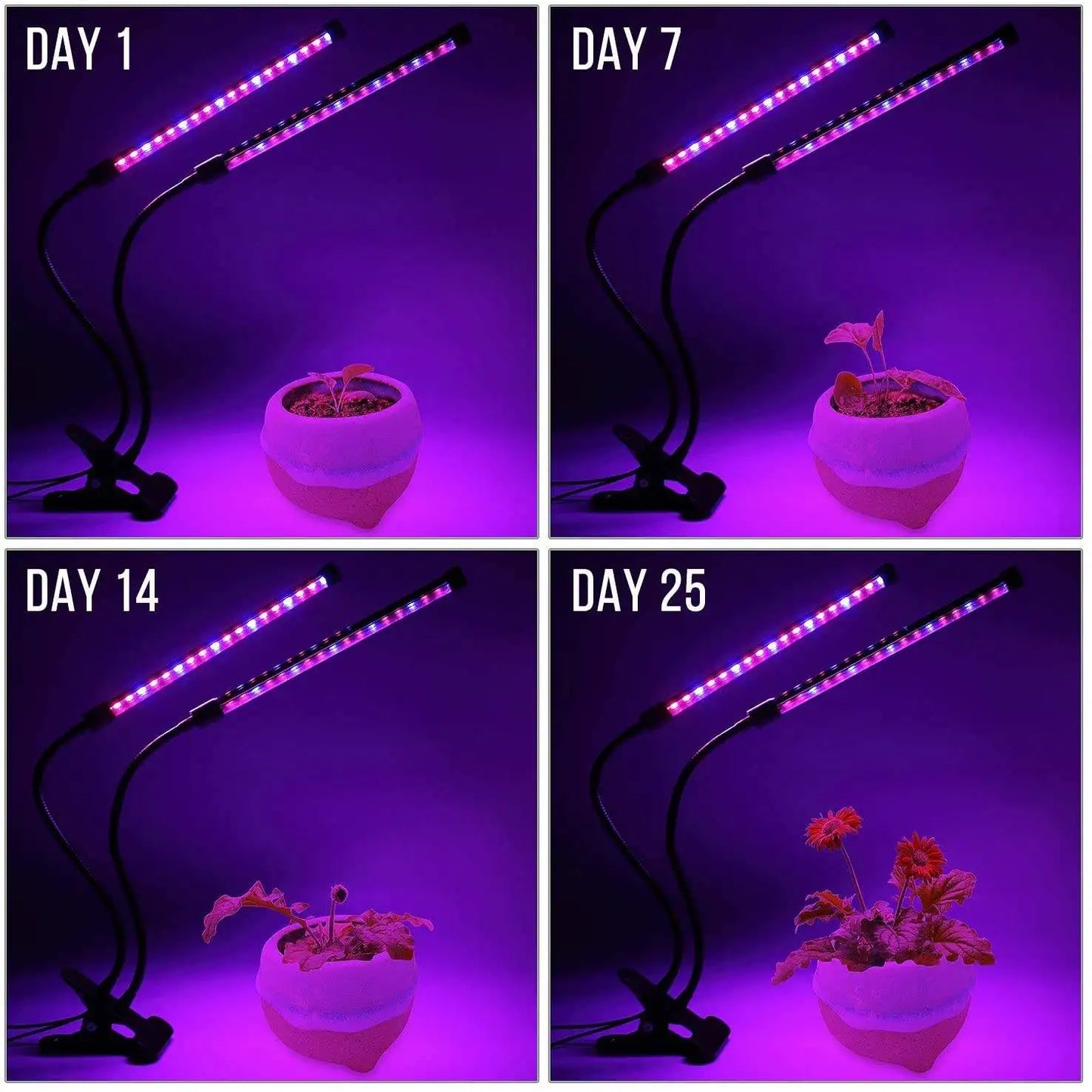 Luz LED  para cultivo de Plantas para Interior e Invernadero