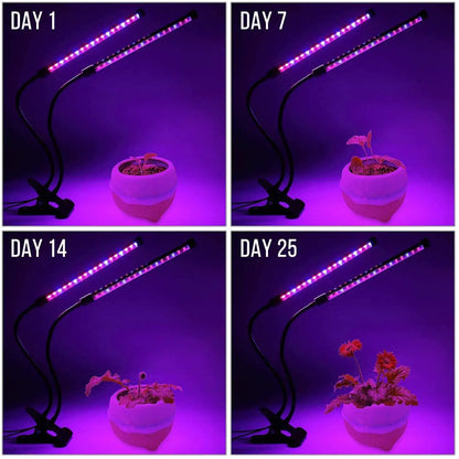 Luz LED  para cultivo de Plantas para Interior e Invernadero